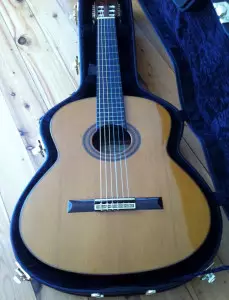 مشخصات گیتار آدمیرا rosario